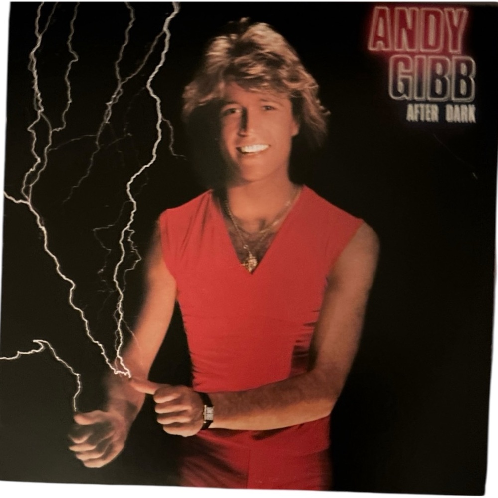 Andy Gibb After Dark Vinyl Record